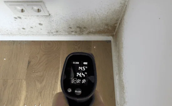 appartement humide droits locataire ; droit locataires appartement humide ; appartement humide droits du locataire ;